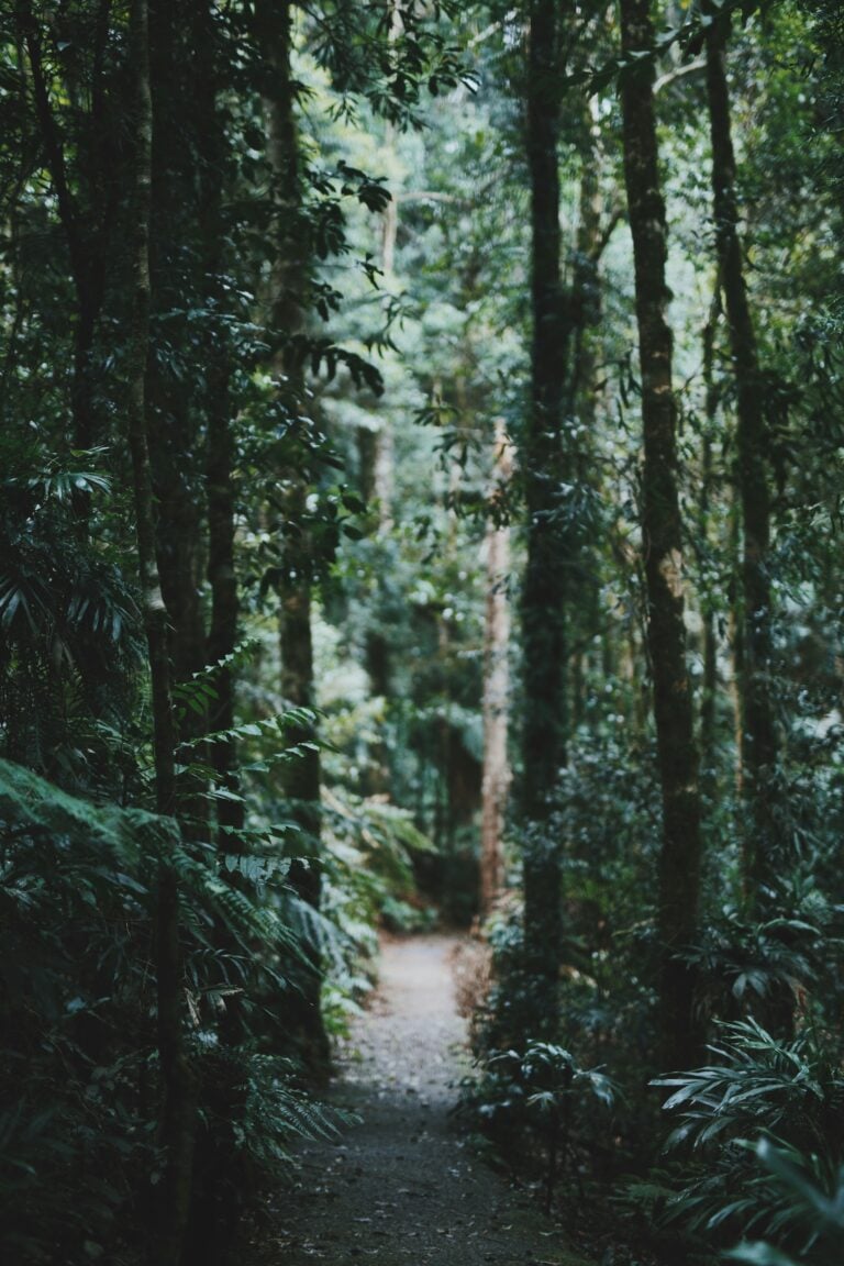 therapy, counselling, South Surrey, White Rock, BC