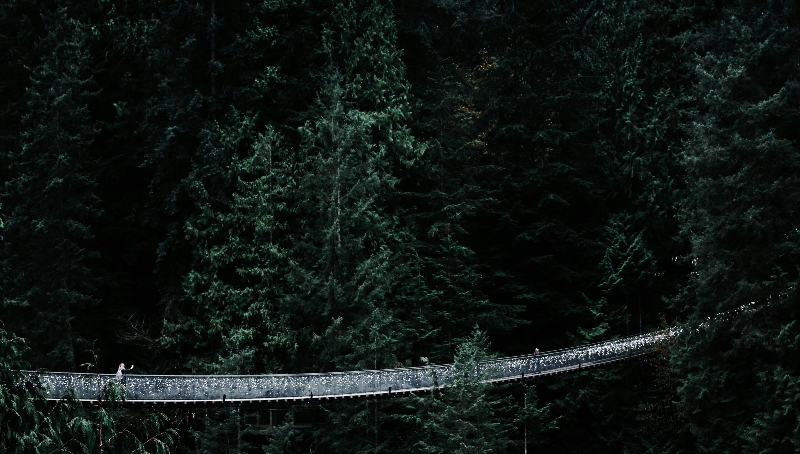 Capilano Suspension Bridge in BC