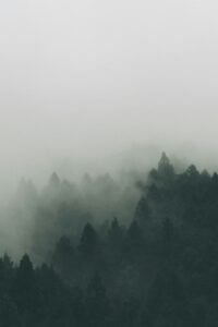 AEDP therapy in British Columbia